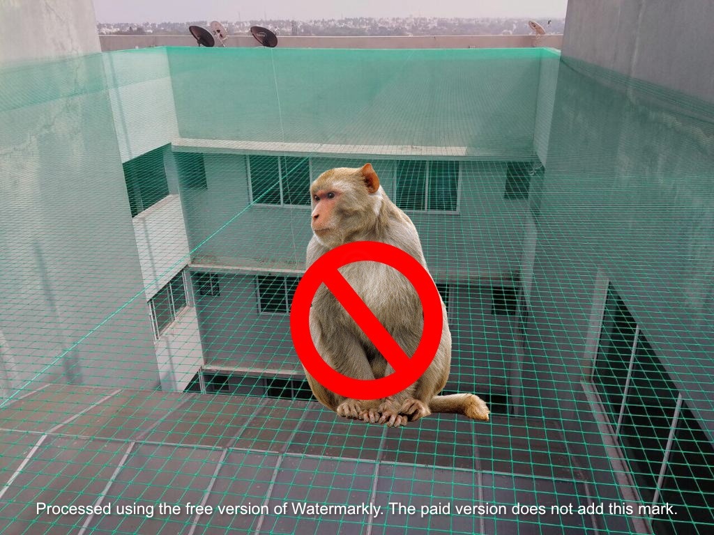 Monkey Safety Nets